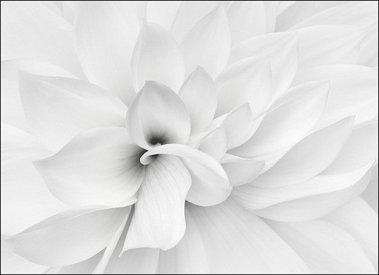 Almost White