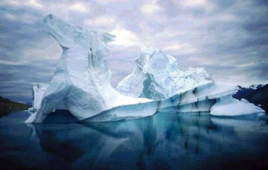 Amazing Faces on Earth