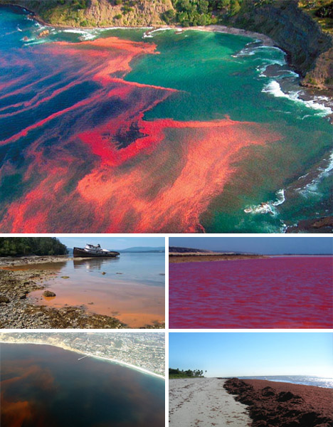 Strange Wonders of the World