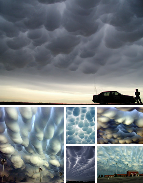 Strange Wonders of the World