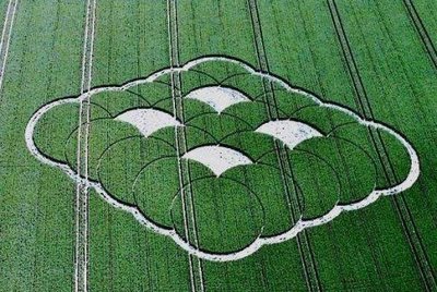 Ultimate Crop Circles in the Field