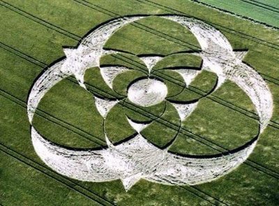 Ultimate Crop Circles in the Field