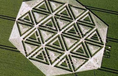 Ultimate Crop Circles in the Field