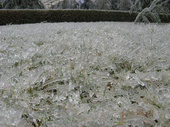 After Ice Rain in South China