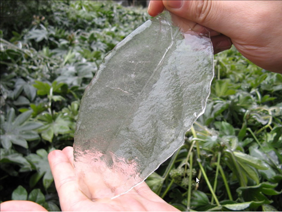 After Ice Rain in South China