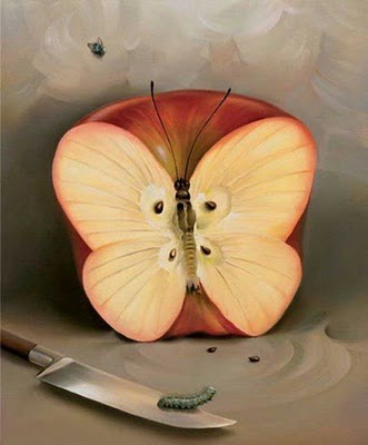 Amazing Illusion - Amazing Anamorphic Illusions,amazing Creations