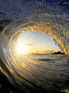 Amazing Mobile Animated Wallpapers