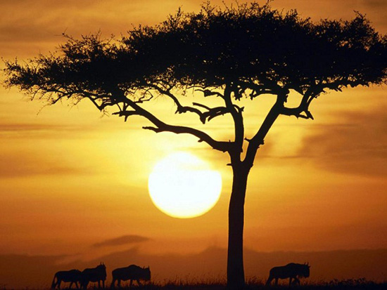 Amazing Photos of Kenya