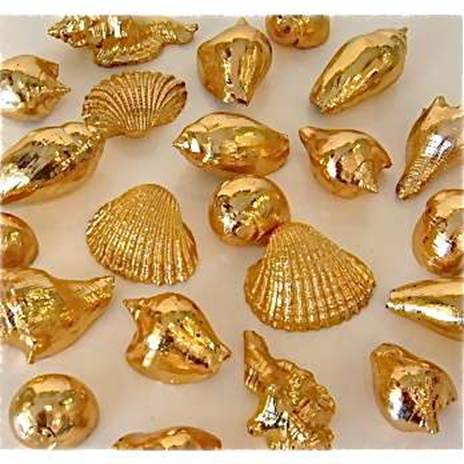 Treasure of Thiruvananthapuram II