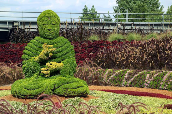 Creative Garden