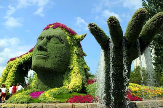 Creative Garden