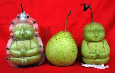 Farmer Grows Buddha Pears