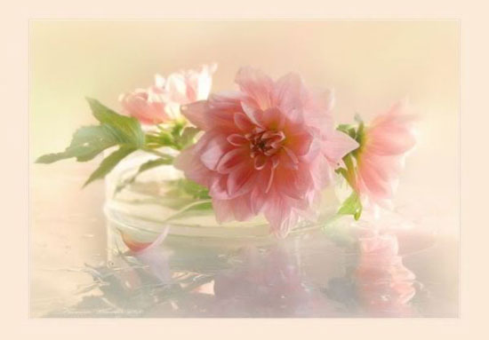 For All My Friends