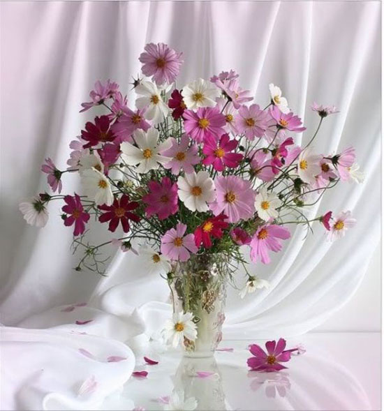For All My Friends