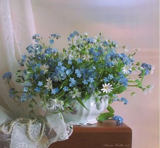 For All My Friends