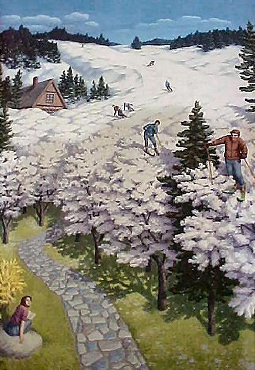 Illusion Images by Rob Gonsalves