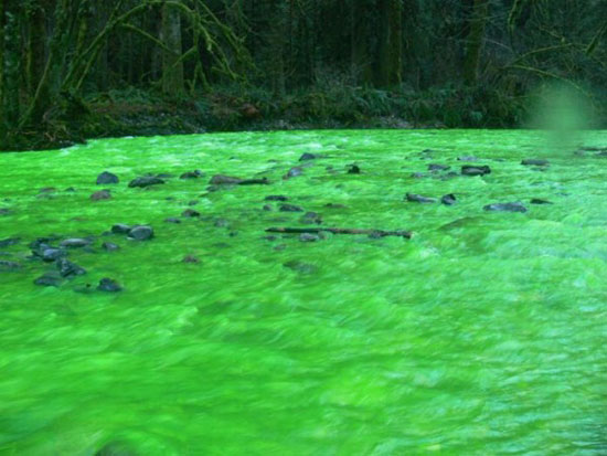 Neon Green River Canada