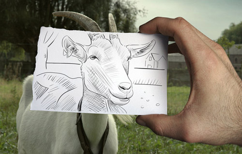 Pencil vs Camera Incredible Piece of Art