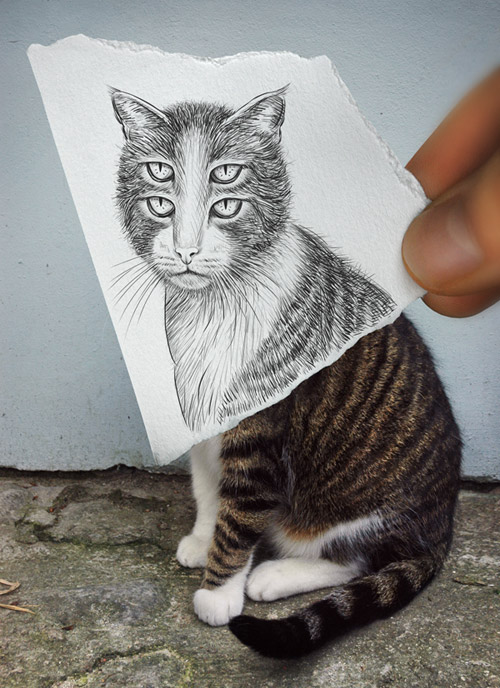 Pencil vs Camera Incredible Piece of Art