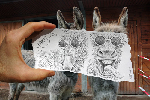Pencil vs Camera Incredible Piece of Art