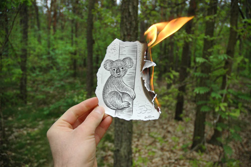 Pencil vs Camera Incredible Piece of Art