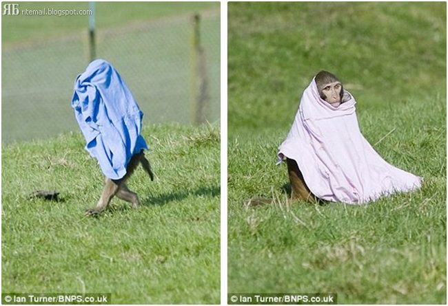 Dont Left the Car in a Safari Park