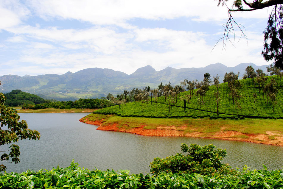A Day Out in Munnar Kerala