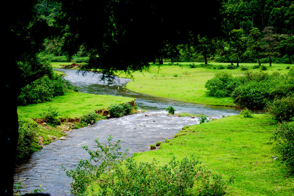 A Day Out in Munnar Kerala