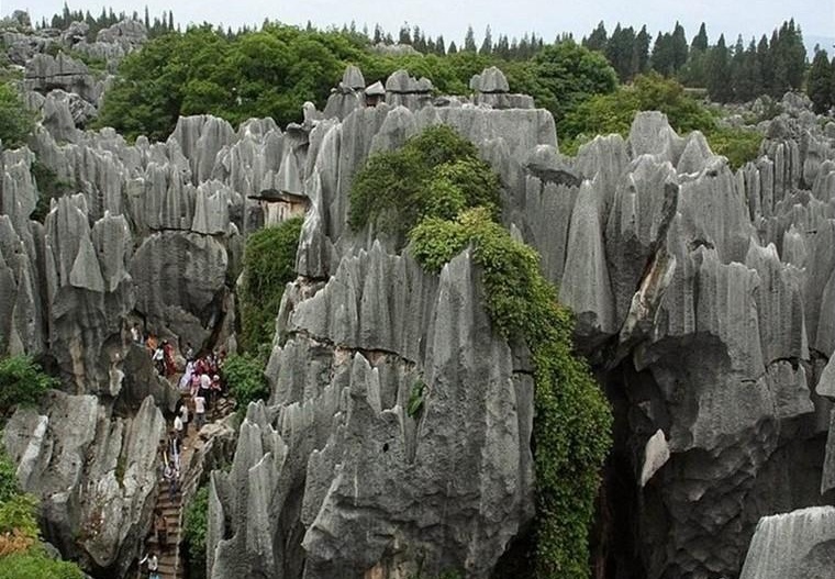 Amazing Stone Forest-Green Nature Photography