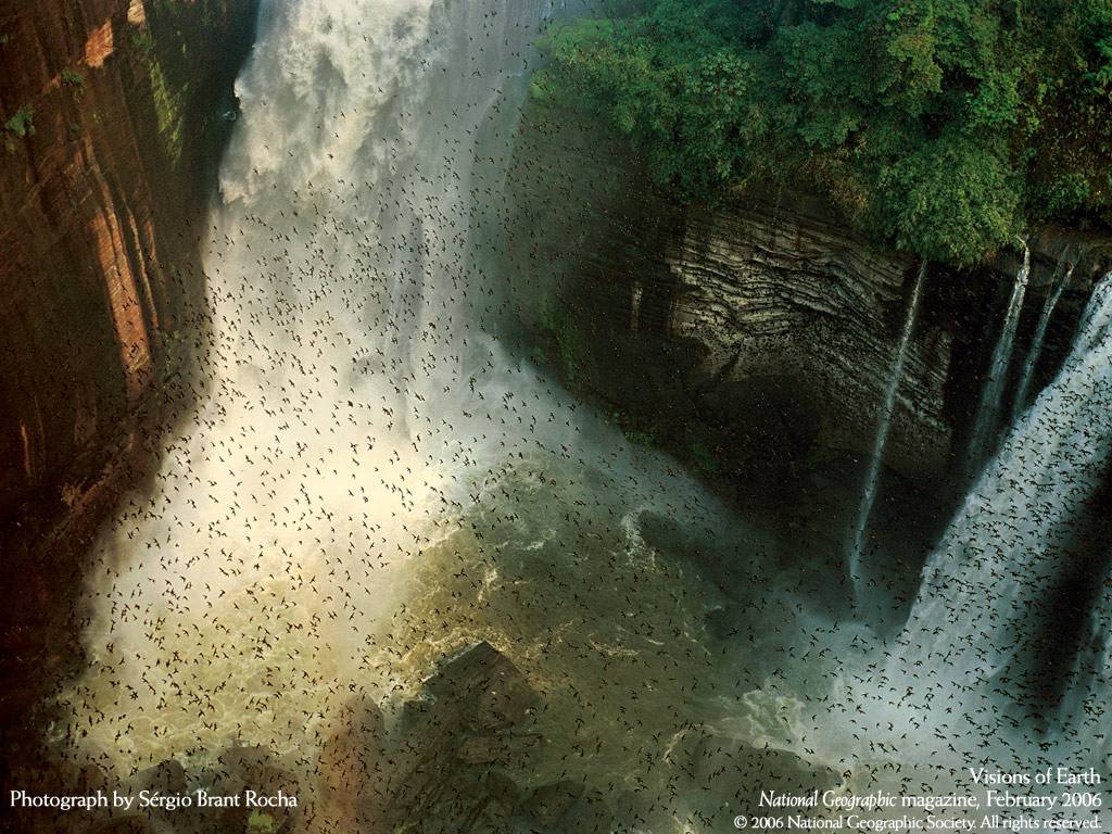National Geographic Channel Strikes Again
