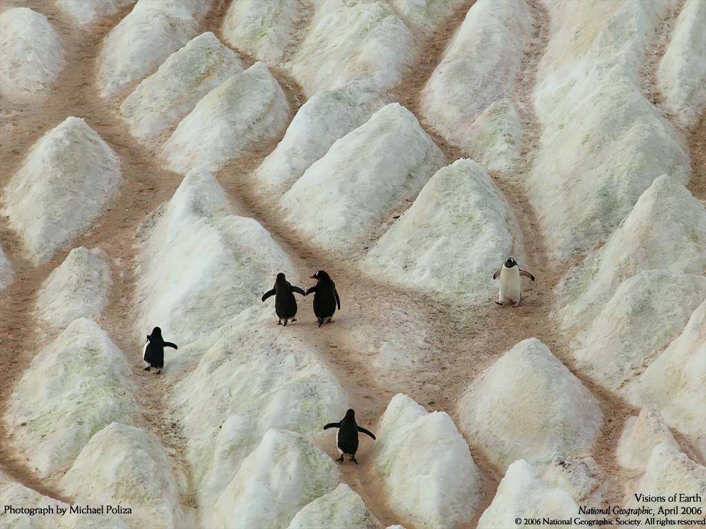 National Geographic Channel Strikes Again