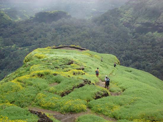 Beautiful Konkan