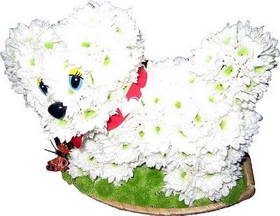 Dolls and Toys Made from Flowers