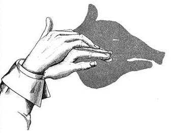 Shadow of Fingers