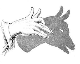 Shadow of Fingers