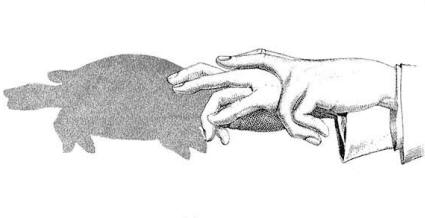 Shadow of Fingers