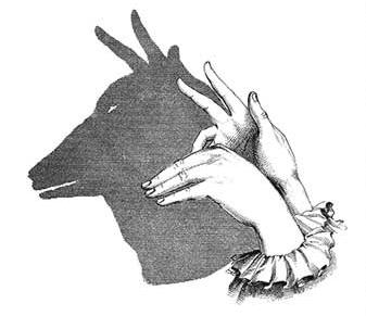 Shadow of Fingers