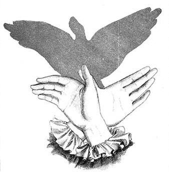Shadow of Fingers