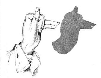 Shadow of Fingers