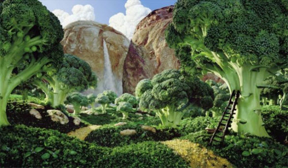 Incredible Food Landscape Art