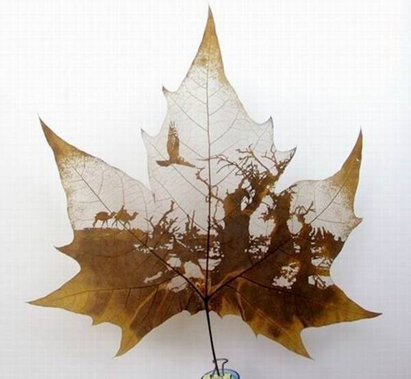 Animations on the Leaf
