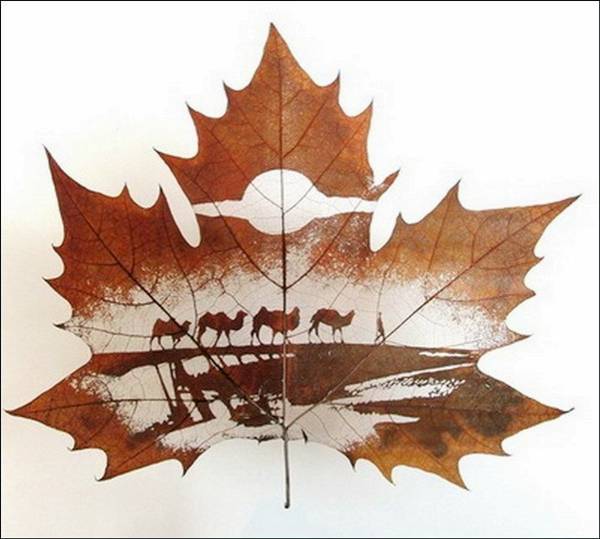 Animations on the Leaf