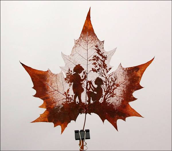 Animations on the Leaf