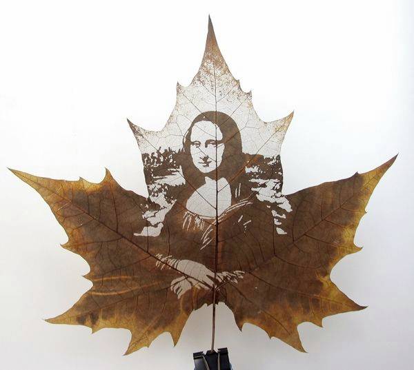 Animations on the Leaf
