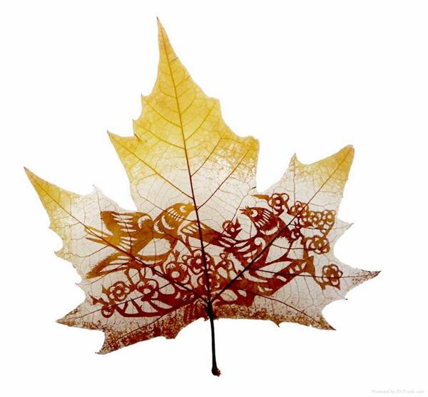 Animations on the Leaf