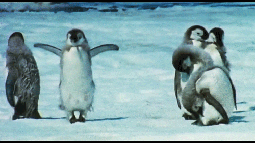 Creative Cinemagraph Animation - Amazing GIF Photography
