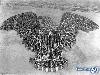 15 Extraordinary Mass Human Formations
