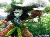 Collection Of Creative Gardens
