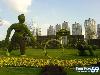 Collection Of Creative Gardens
