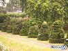 Collection Of Creative Gardens